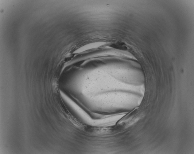 X0000068830288200605261623