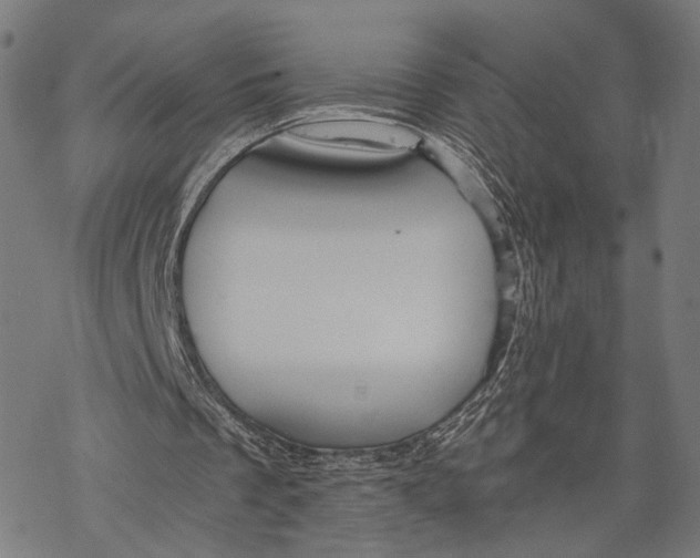 X0000068830289200605261622