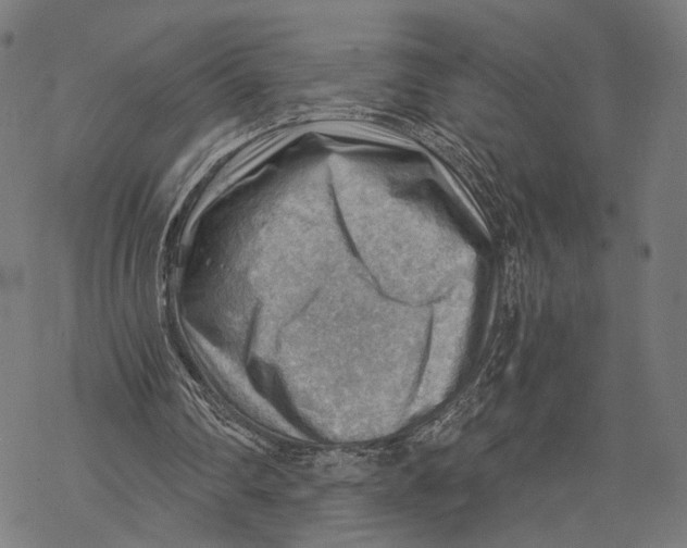 X0000068830290200605261622