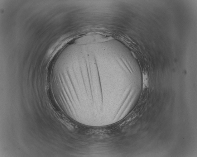 X0000068830291200605261622