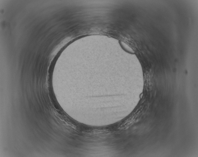 X0000068830292200605261622