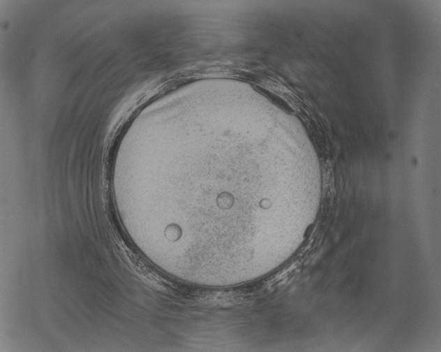 X0000068830293200605261622