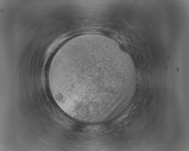 X0000068830294200605261622