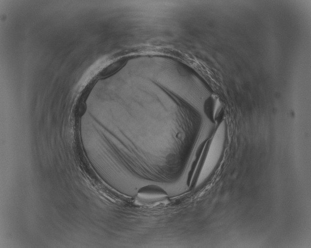 X0000068830295200605261622