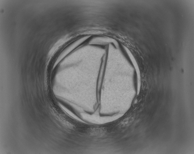 X0000068830296200605261622