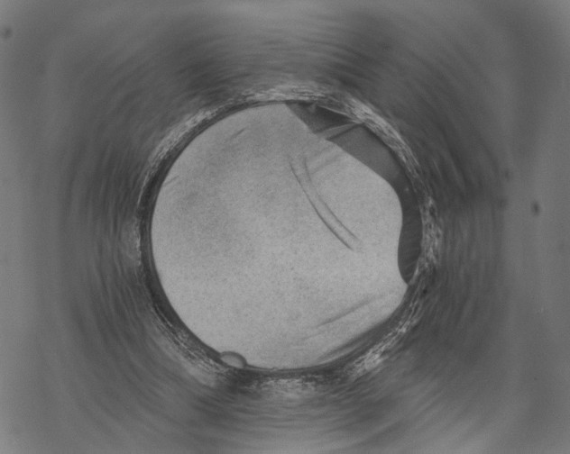 X0000068830298200605261622