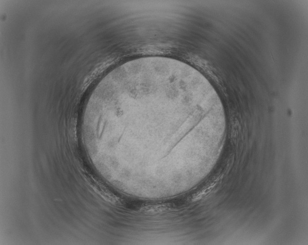 X0000068830299200605261622