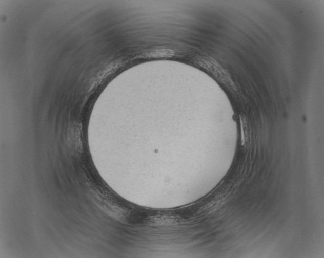 X0000068830300200605261622