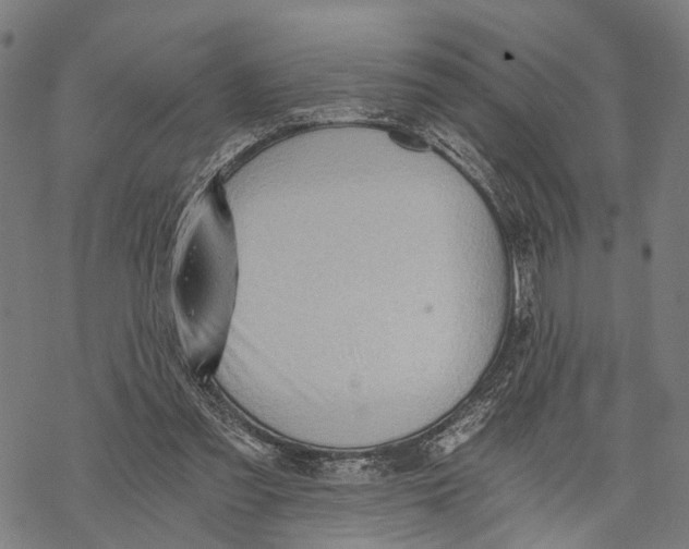 X0000068830301200605261622