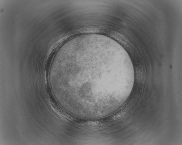 X0000068830302200605261622