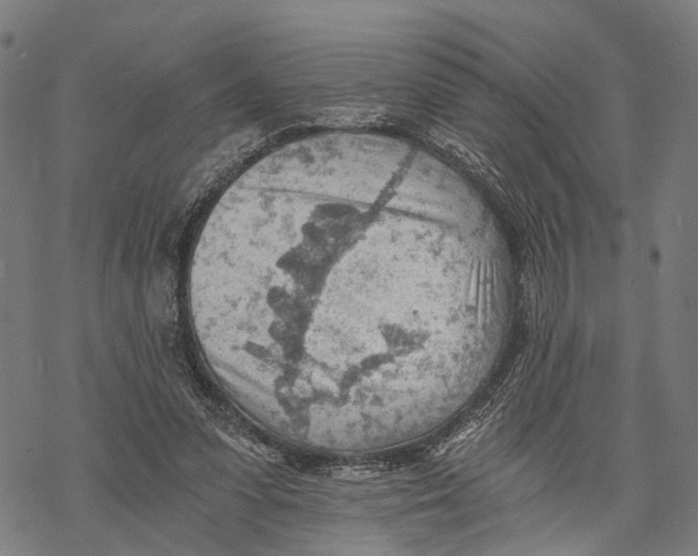 X0000068830303200605261622