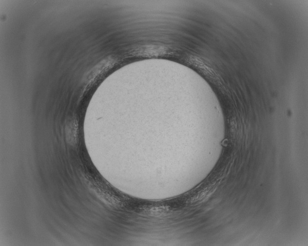 X0000068830304200605261622