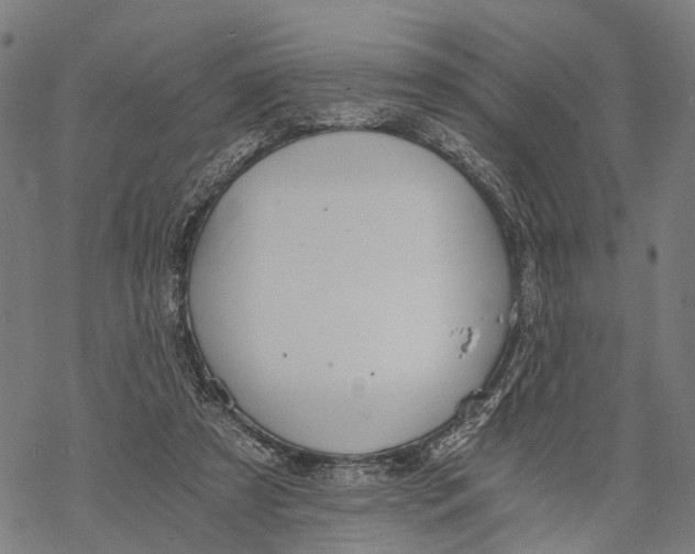 X0000068830305200605261622