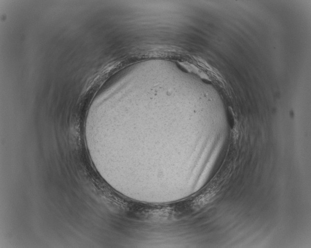 X0000068830306200605261622