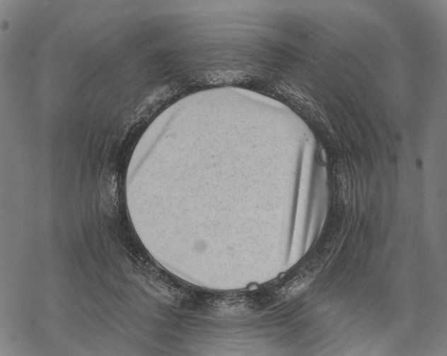 X0000068830308200605261622