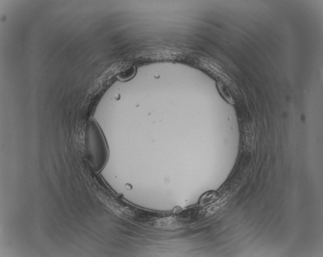 X0000068830309200605261622