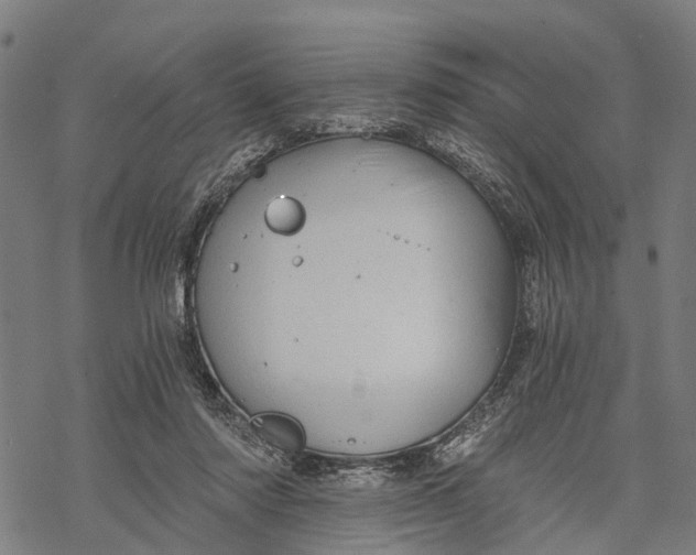 X0000068830310200605261622