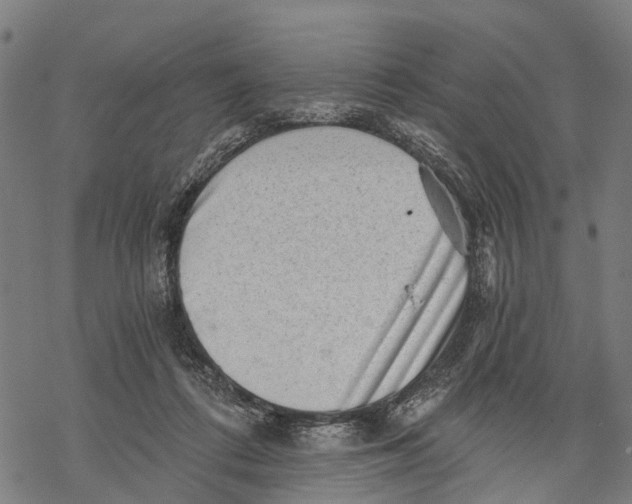 X0000068830312200605261622