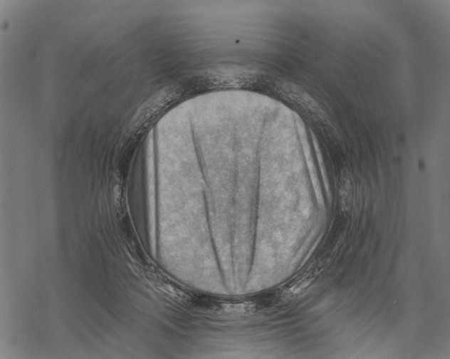 X0000068830314200605261622