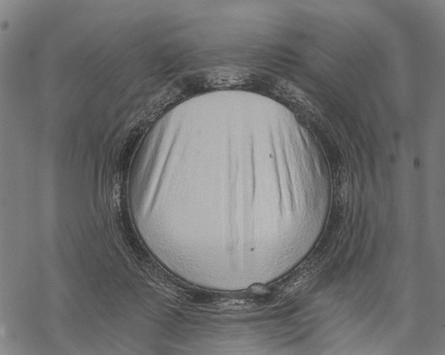 X0000068830315200605261622