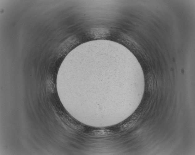 X0000068830316200605261622