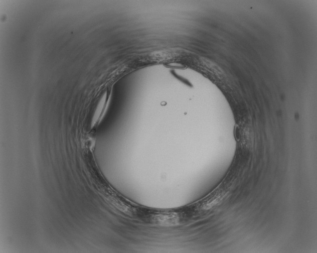 X0000068830317200605261622