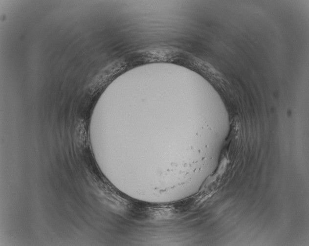 X0000068830318200605261622