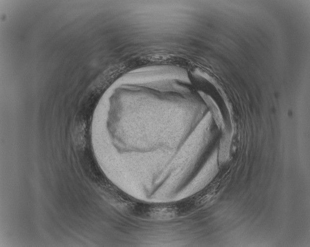 X0000068830319200605261622