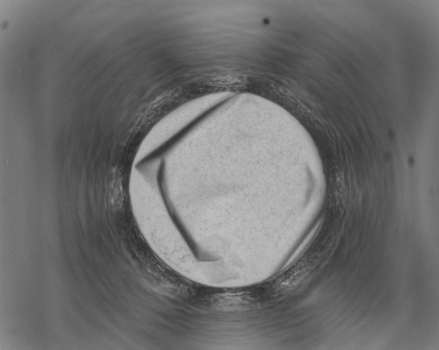 X0000068830320200605261622