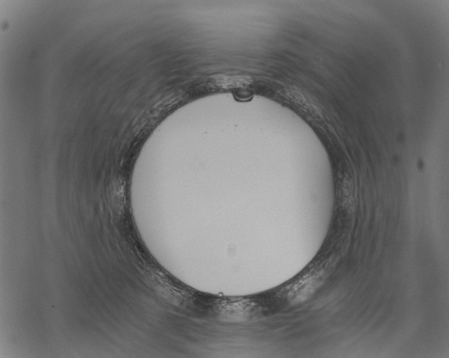 X0000068830321200605261622