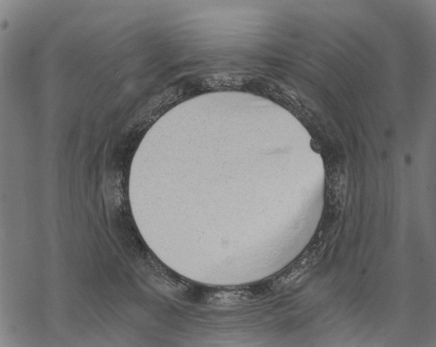 X0000068830323200605261622