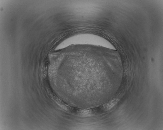 X0000068830325200605261622