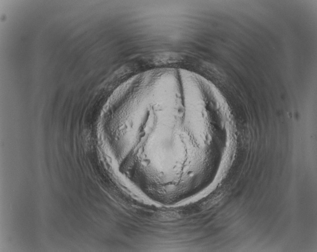 X0000068830327200605261622