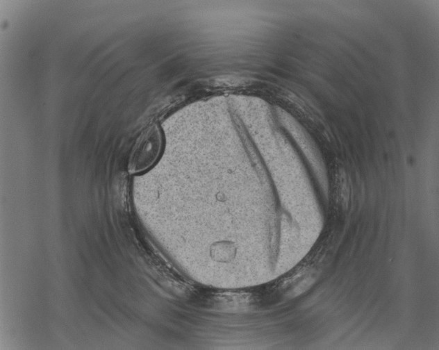 X0000068830328200605261622