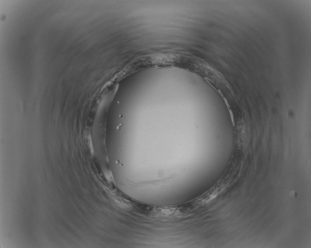 X0000068830329200605261622