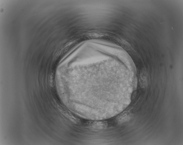 X0000068830330200605261622