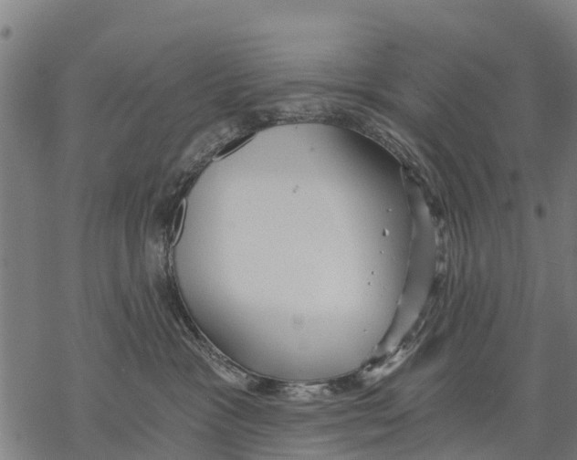 X0000068830333200605261622