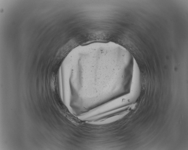 X0000068830334200605261622