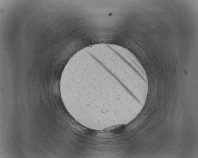 X0000068830336200605261622