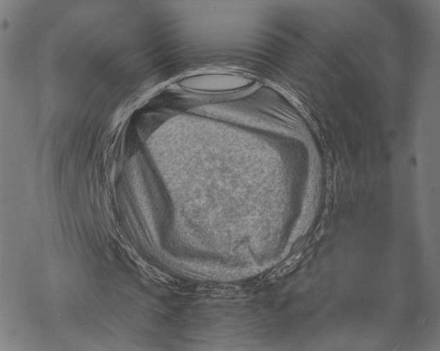 X0000068830337200605261621