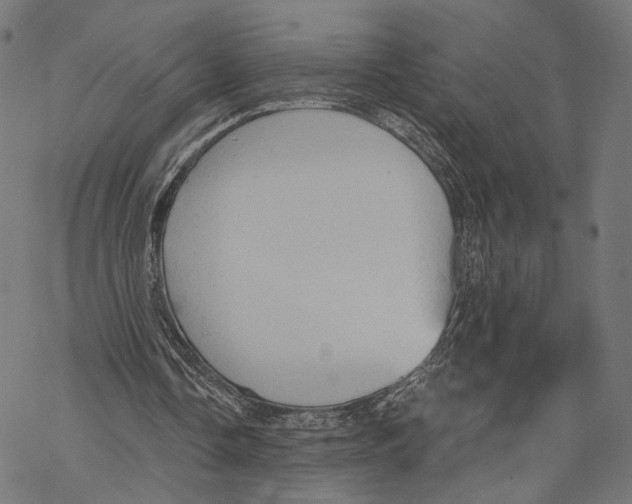 X0000068830338200605261621