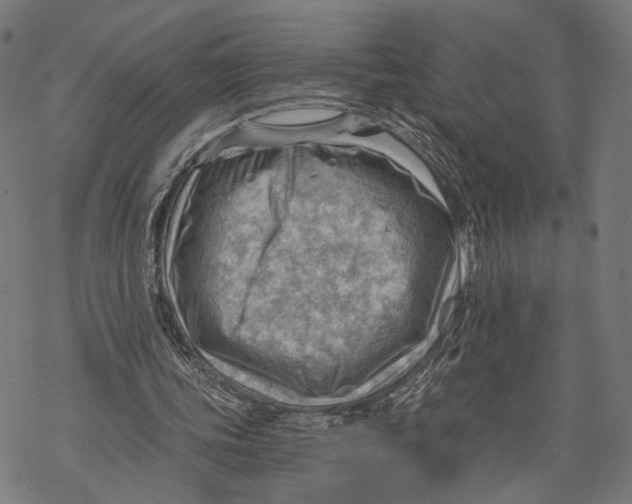 X0000068830339200605261621