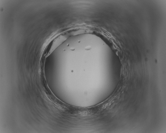 X0000068830344200605261621