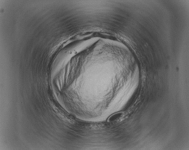 X0000068830345200605261621