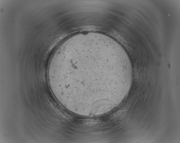 X0000068830347200605261621