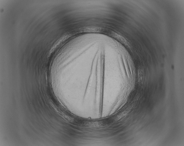 X0000068830349200605261621