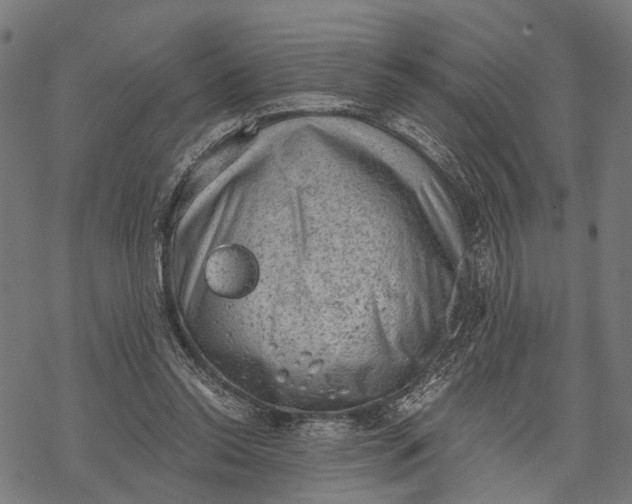 X0000068830350200605261621