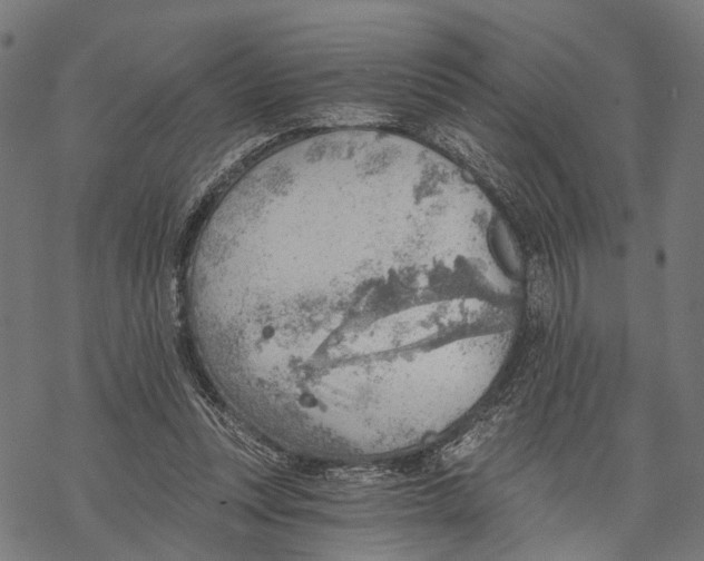 X0000068830351200605261621