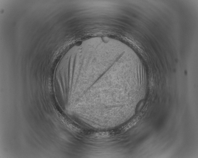 X0000068830353200605261621