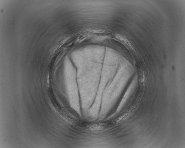 X0000068830358200605261621